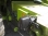 Комбайн зерноуборочный CLAAS MEGA 204